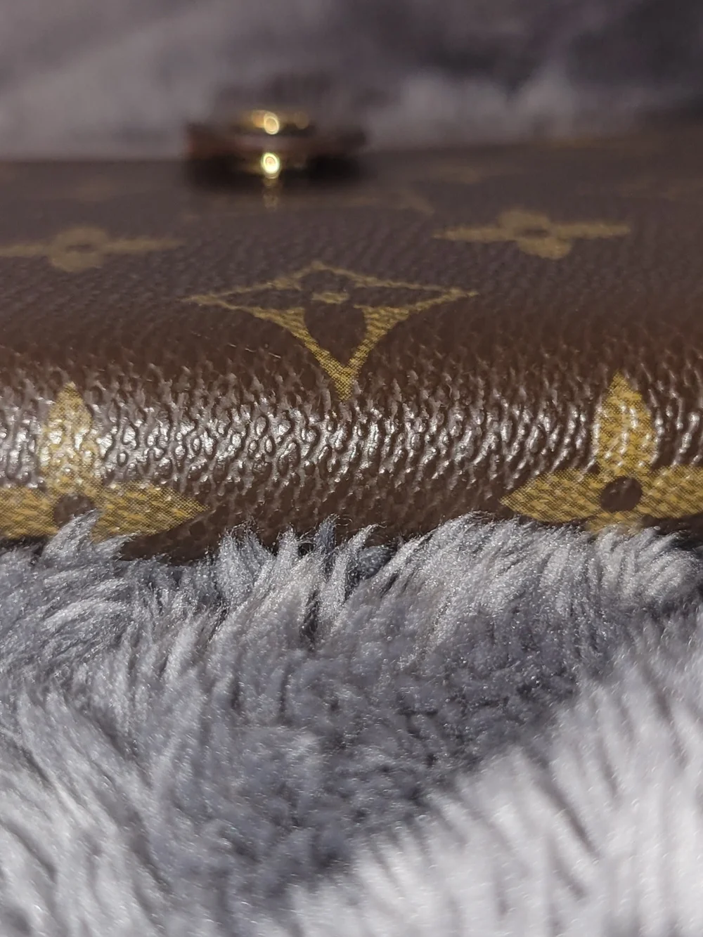 Louis Vuitton classic louis